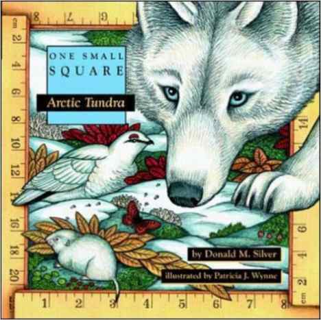 Arctic Tundra by Donald Silver - Images  are from amazon.com.