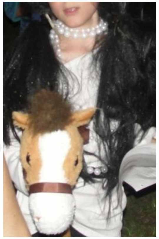 Nez Perce presentation