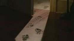 detectives-lesson-plan