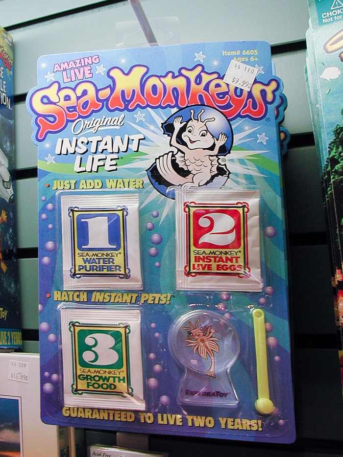Sea Monkeys = Brine Shrimp