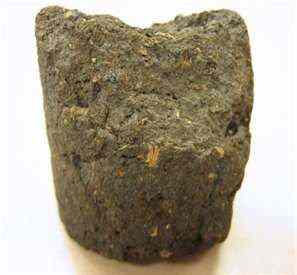 Peat Image Credit: http://library.thinkquest.org/05aug/00461/peat.htm