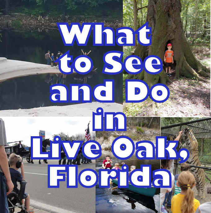 What to See and Do in Live Oak, Florida in Suwannee County