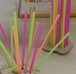 Haversian System model