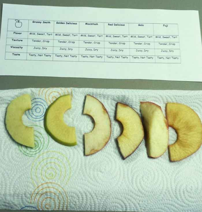 Washington Apple Tasting & Apple Pie activity we did during our geography morning basket time