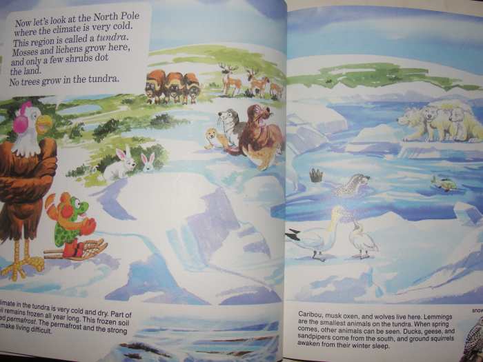 Forests by Chris Arvetis and Carole Palmer