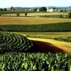 Image credit: http://www.prweb.com/releases/2007/01/prweb499927.htm