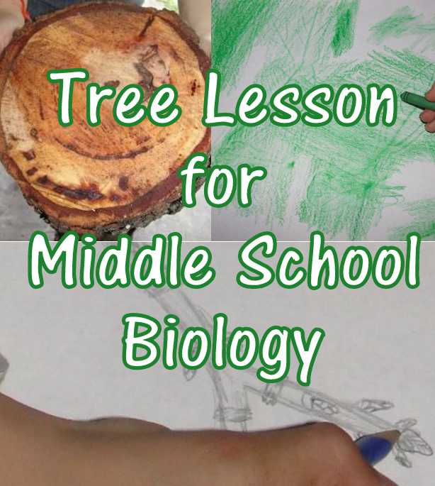 Tree Lesson for Middle School Biology