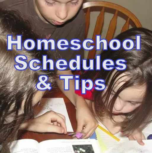 Homeschool Schedules and Tips