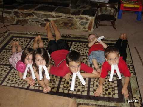 Walruses sunning on their "ice floe"