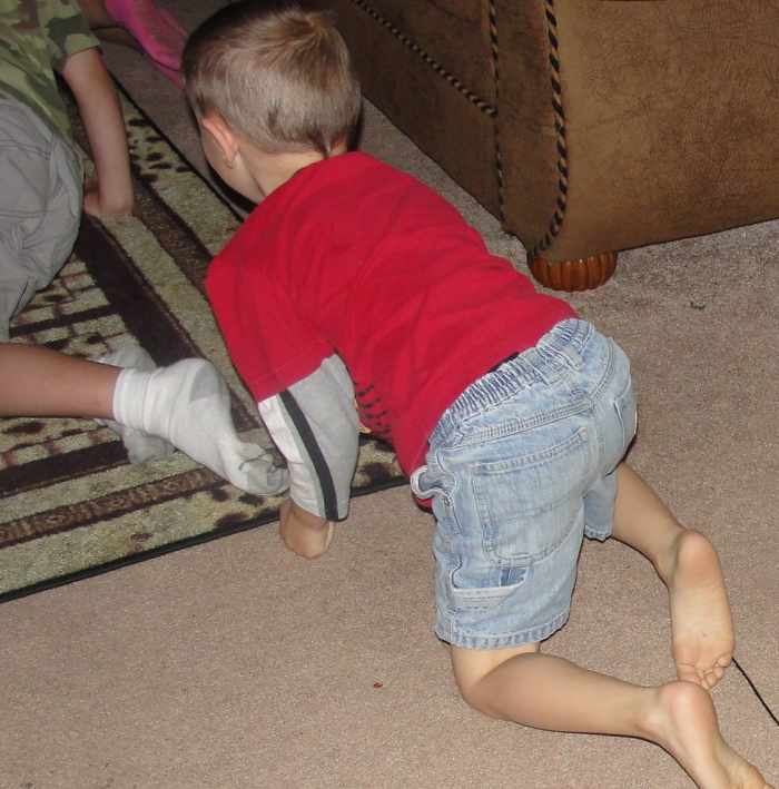 Following an "ant trail" to food