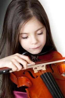Image credit: http://www.amromusic.com/beginner-violins