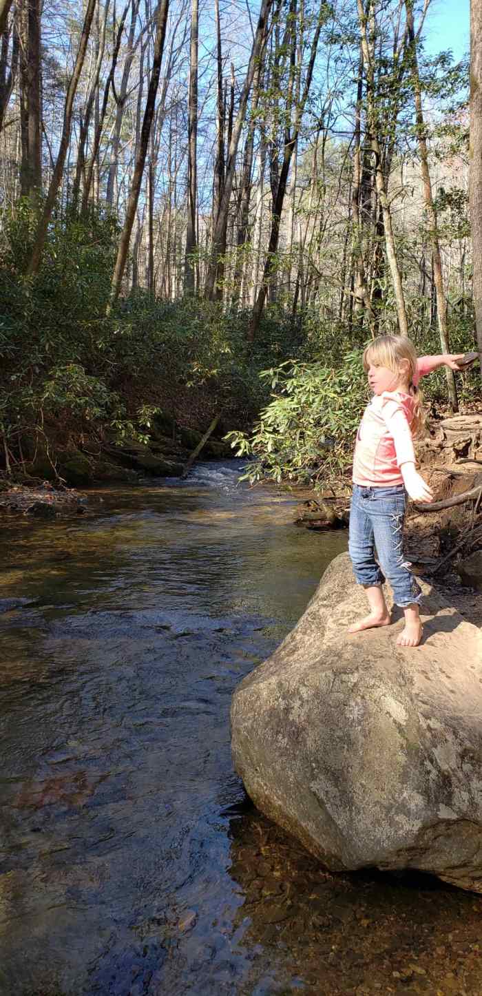 The Raven Cliff Falls trail provides lots of opportunities for kids (or dogs) to splash around in the water, skip stones, or toss rocks into the creek.