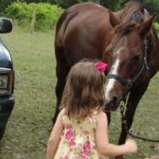 Field trip to ride on a horse during the lesson on horses