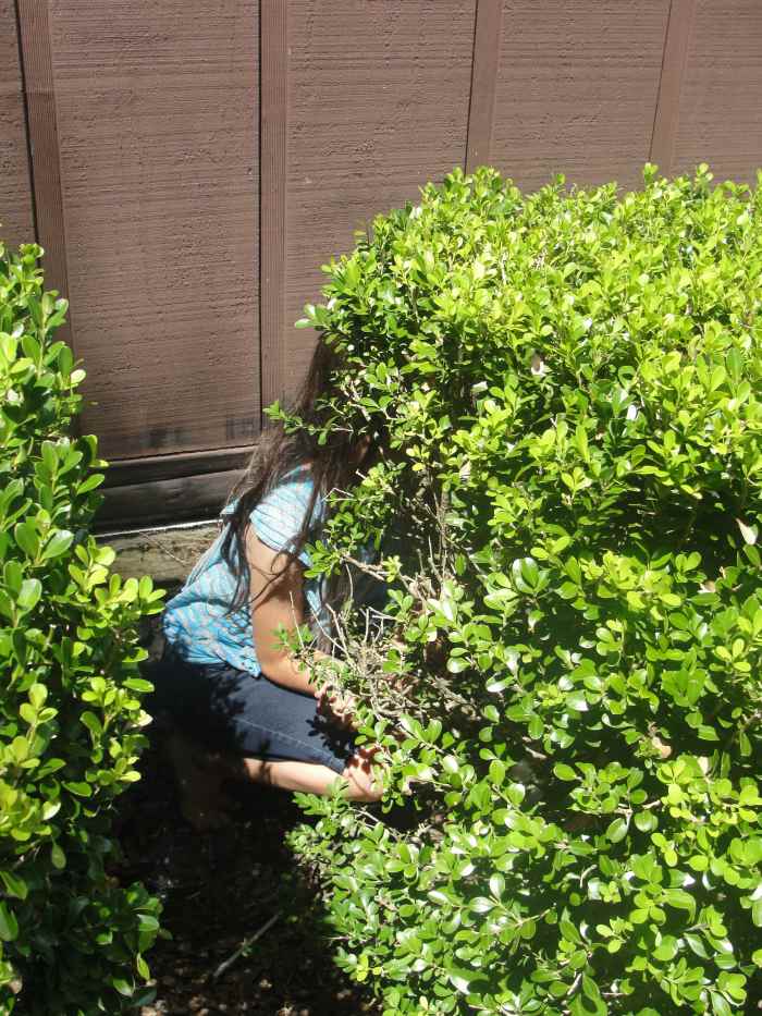 Playing Predator and Prey