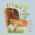 Bison at Hollow Hill by Drema Hazelwood