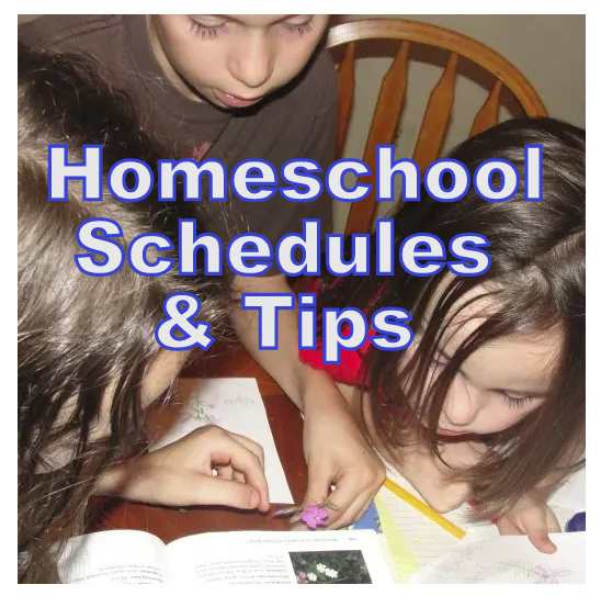 homeschool-and-family-ideas