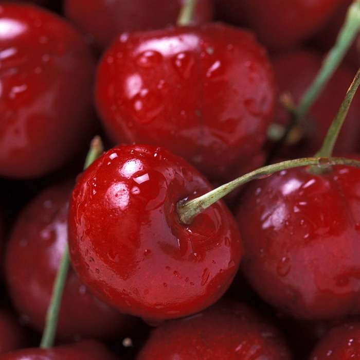 Washington's Cherry Tree Snack