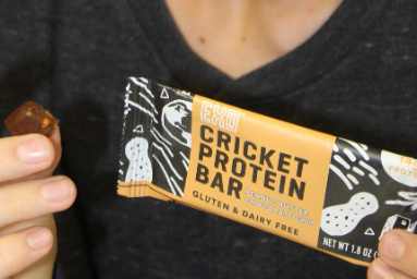 Tasting an Exo Cricket Protein Bar