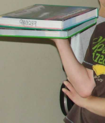 Pulleys share half the load