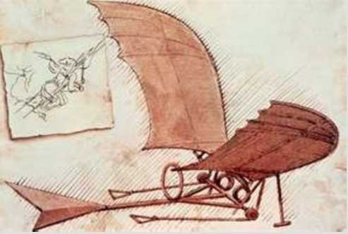 Bat Wings Glider Design