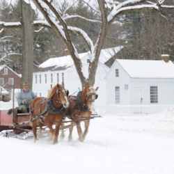 Image credit: http://thespicegarden.blogspot.com/2011/02/old-sturbridge-village.html