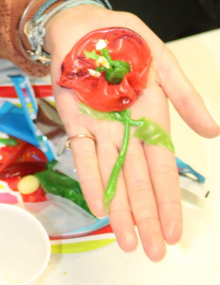 parts-of-a-flower-lesson