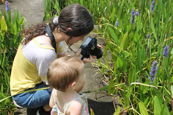 ponds and other areas that are perfectly picturesque. 