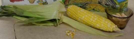 Corn display for explaining the Corn Belt - Photo credit: Michelle Harrison, who attends our class 
