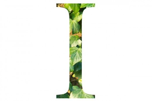 Image credit: http://ed101.bu.edu/StudentDoc/Archives/ED101fa09/adbeck/Images/I%20uppercase.jpg