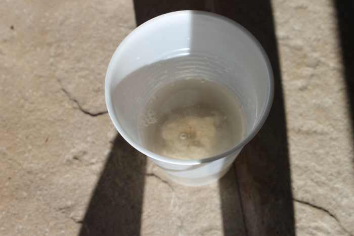 Limestone in vinegar