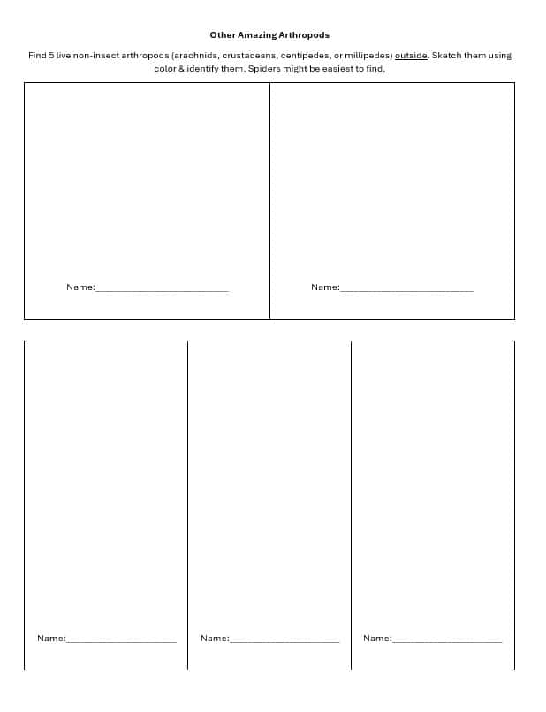 Outdoor Arthropods Observation Sheet