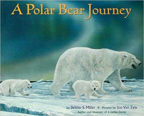 A Polar Bear Journey by Debbie S. Miller - Image is from amazon.com