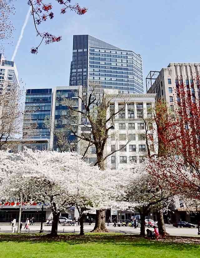 learning-about-massachusetts