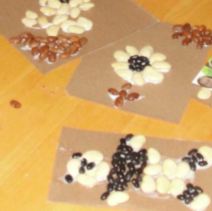 Making seed mosaics was one of the activities we did this week while learning about seed plants from the above link: Science Morning Basket & Activities: Seed Plants.