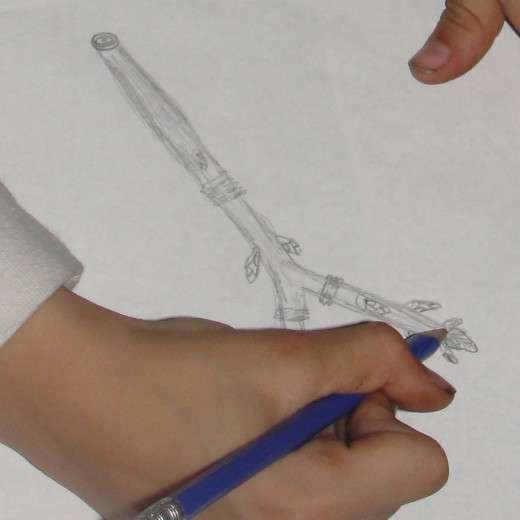A student sketching a twig