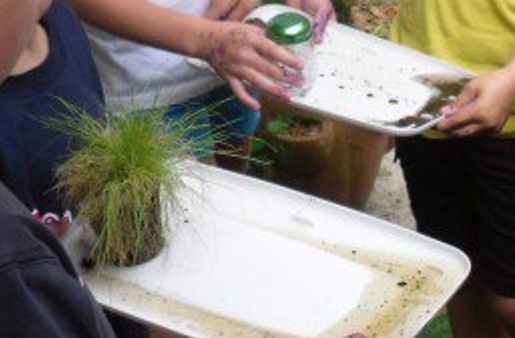 Desertification Demo