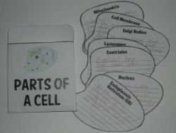 Parts of a Cell lapbook from cyncesplace.com