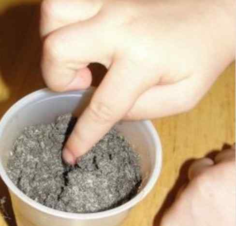 Planting a sunflower seed