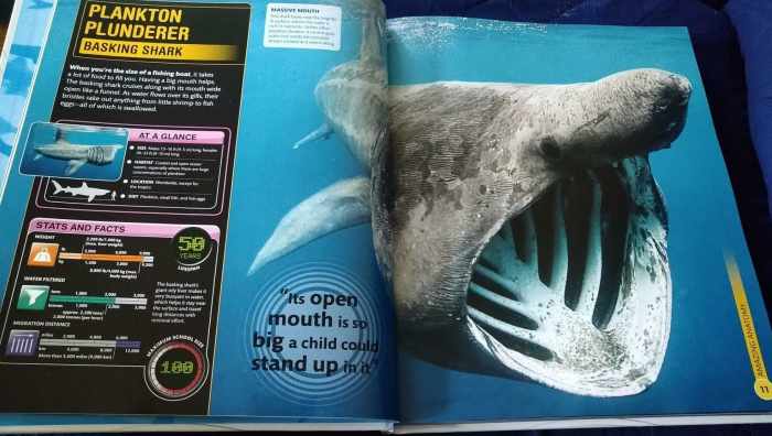 DK Super Shark Encyclopedia: And Other Creatures of the Deep