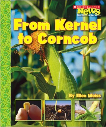 From Kernel to Corncob by Ellen Weiss