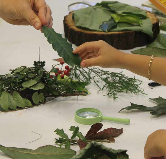 If desired, bring leaves of each of the shapes.