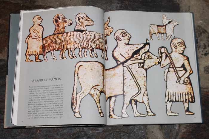 Sumerian picture of shepherds and sheep  from Great Ages of Man: Cradle of Civilization by Samuel Noah Kramer (Time-Life Books)
