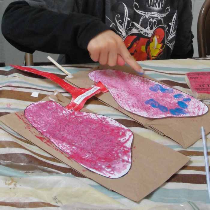 Adding alveoli to lung craft.  Using a pinky finger will allow for the alveoli to be smaller.