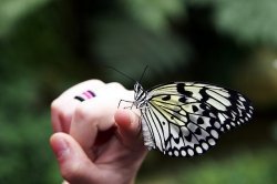 Image credit: http://www.flickr.com/photos/33256665@N00/161205829/