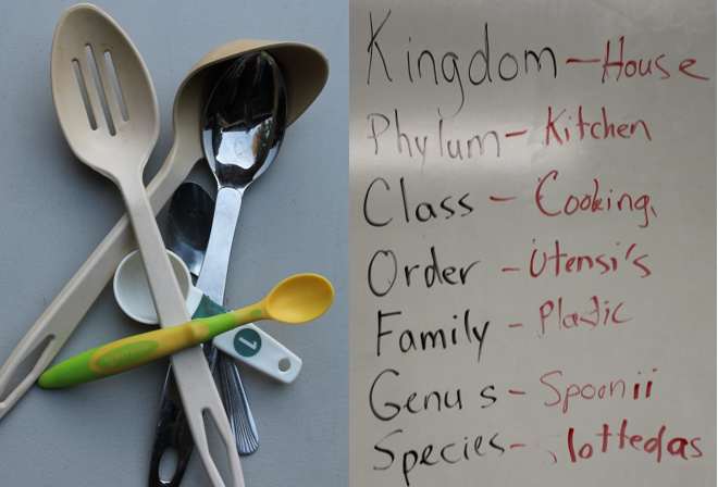 Binomial nomenclature & spoons