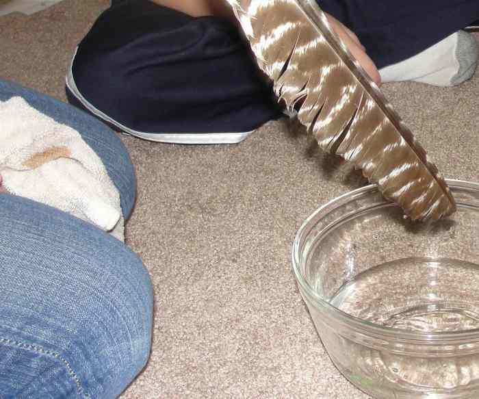 Preening feathers activity