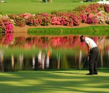 learning-about-georgia