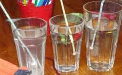 leonardo-da-vinci-the-scientist