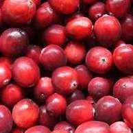 new-england-states-lesson