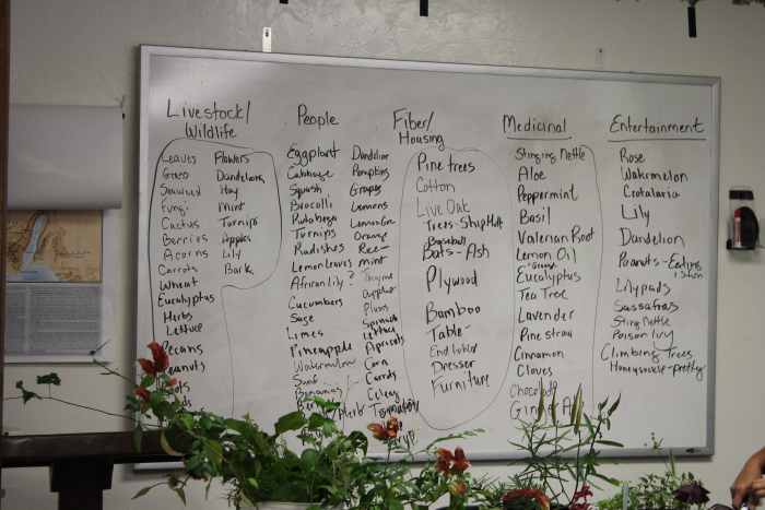 How plants are important to us